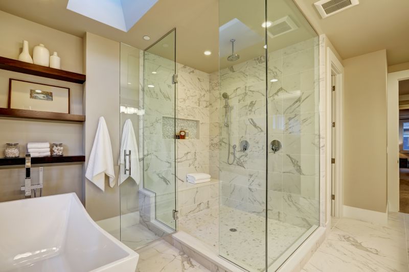 Modern Shower with Frameless Glass